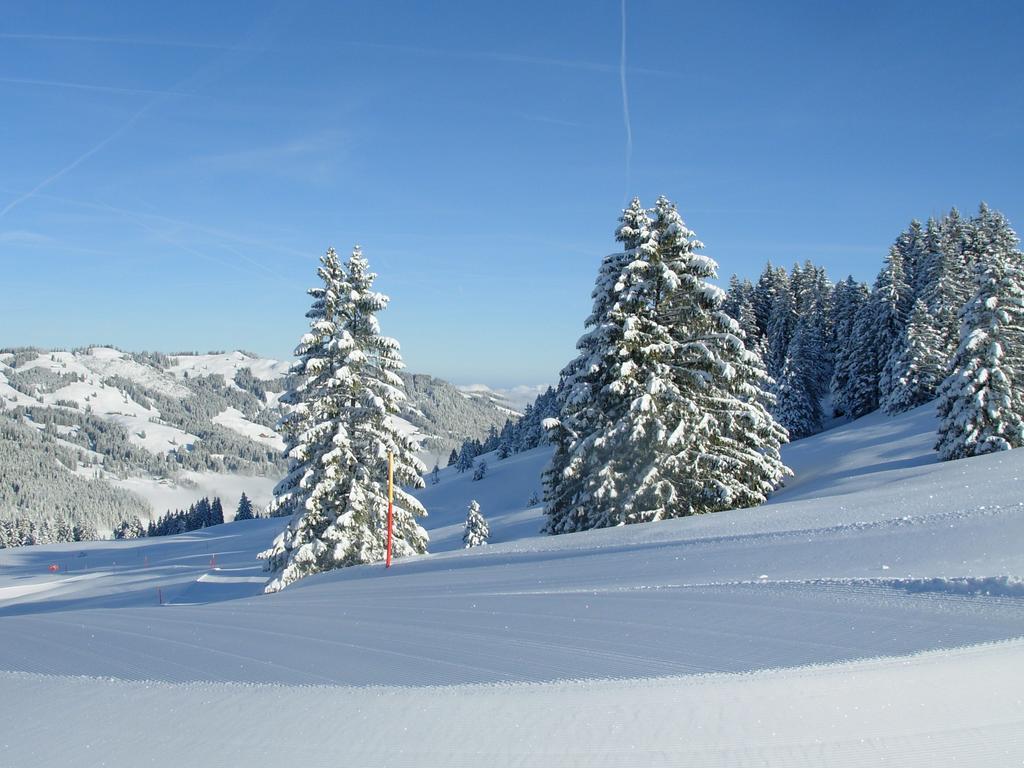 Studio Mythen Schwyz Exterior foto